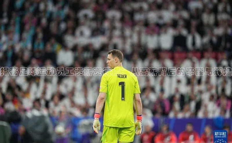 ayx爱游戏·官方网页颐驰 06揭秘足球运动员工资薪资待遇：从高薪背后的辛酸与辉煌