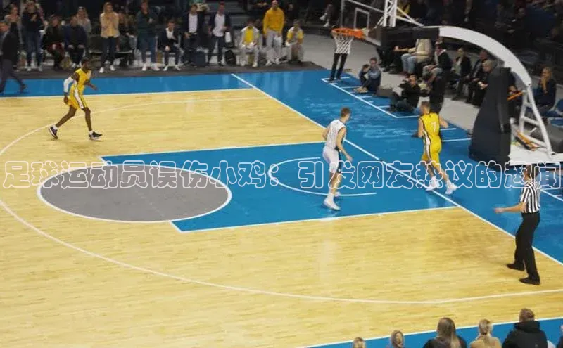 ayx爱游戏中国官方网站滴滴出行足球运动员误伤小鸡：引发网友热议的趣闻