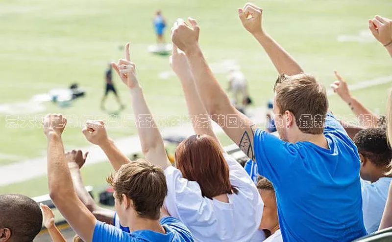 爱游戏官方网站入口登录58同城意大利足球俱乐部是否还在招募韩国运动员？最新动态揭秘