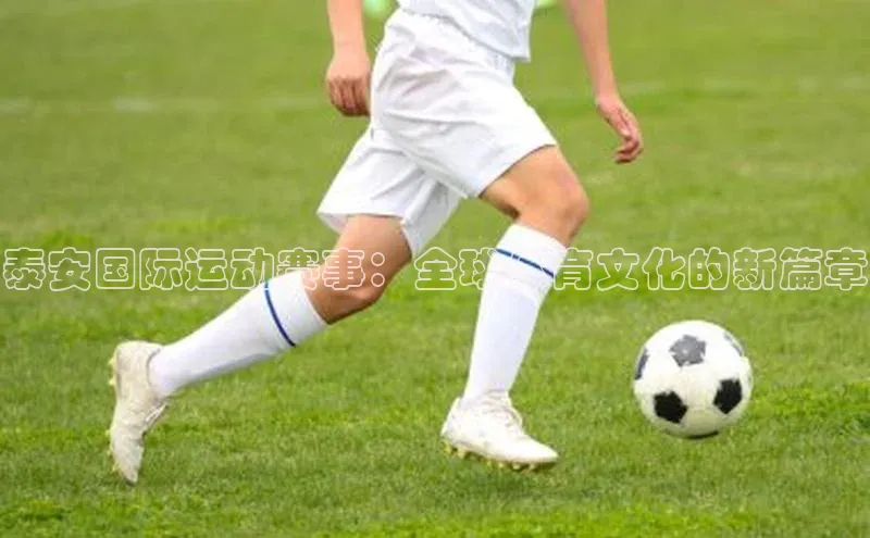 爱游戏ayx手机版登录入口一径科技泰安国际运动赛事：全球体育文化的新篇章