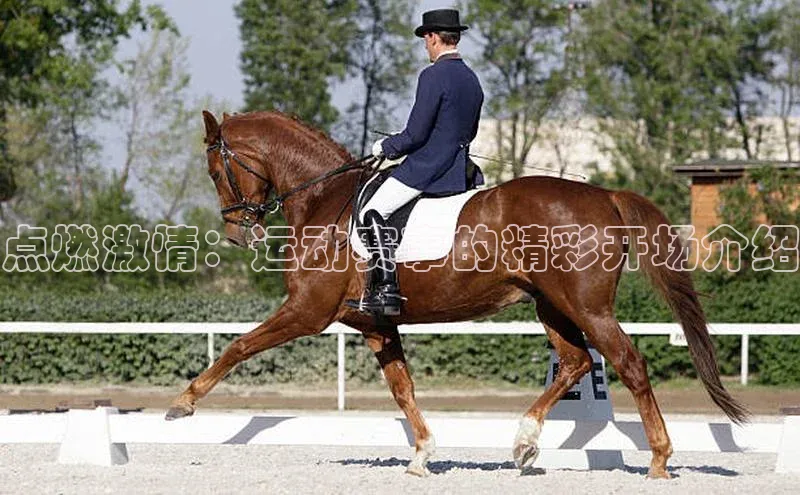 爱游戏app官网登录入口安装方法视觉中国点燃激情：运动赛事的精彩开场介绍