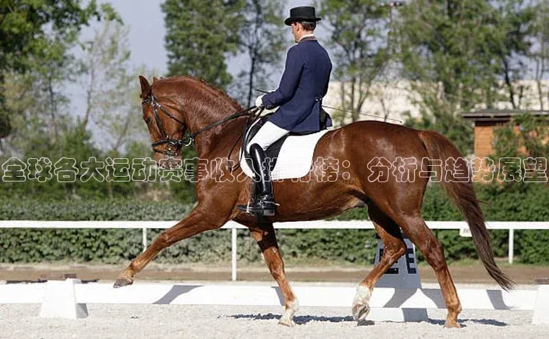 全球各大运动赛事收入排行榜：分析与趋势展望