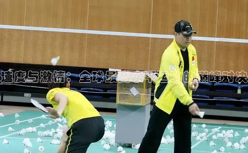 速度与激情：全球最高水平运动的巅峰对决