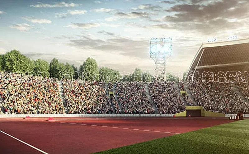 平安护航：定制运动赛事保险方案设计策略探讨