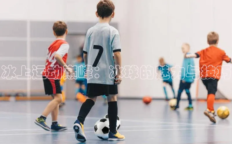 冰上运动巅峰：冰球的魅力与技巧