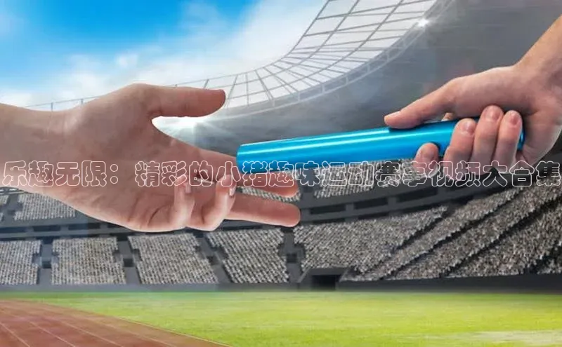 乐趣无限：精彩的小猪趣味运动赛事视频大合集