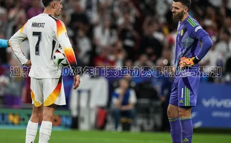 迎新春：2023年重要运动赛事概览与预测