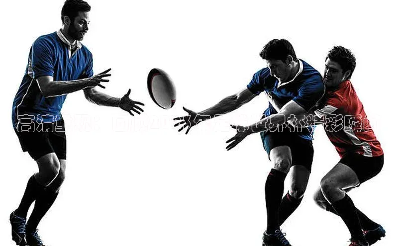 高清重现：回顾2023年足球世界杯精彩瞬间