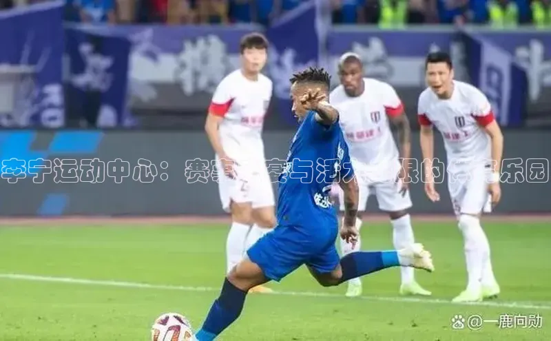 李宁运动中心：赛事盛宴与活力无限的体育乐园