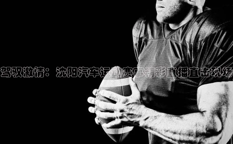 驾驭激情：沈阳汽车运动赛事精彩直播直击现场