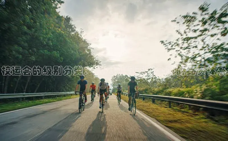 校运会的级别分类：从区到省再到全国的比赛体系