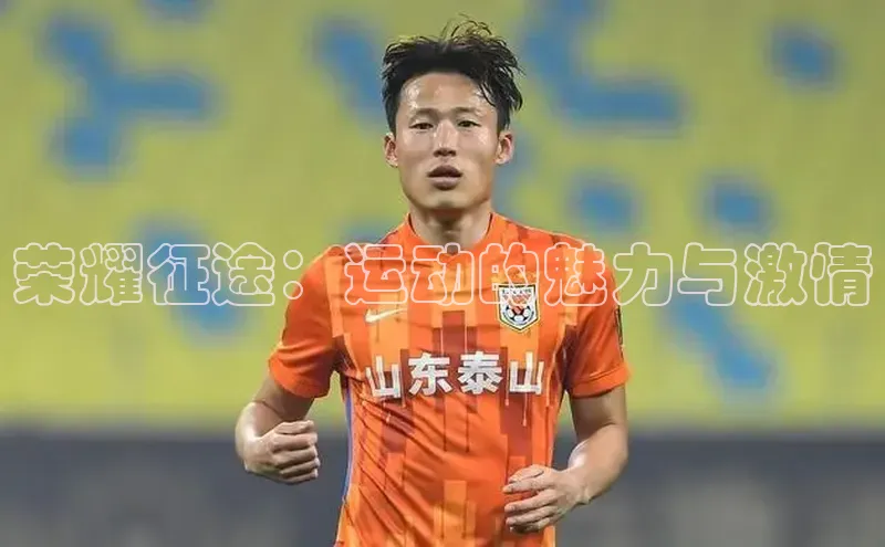 爱游戏官方网站入口登录