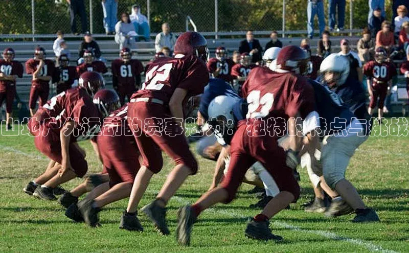 爱游戏app官方入口最新版本